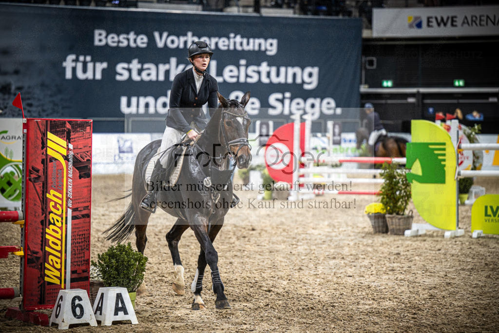 DOS_2345 | Entdecke hochwertige Reitturnierfotos von Foto Oger. Professionell, emotional und authentisch – jetzt Lieblingsmomente im Shop bestellen.Deutschlandweite Turnierfotografie. - Realisiert mit Pictrs.com
