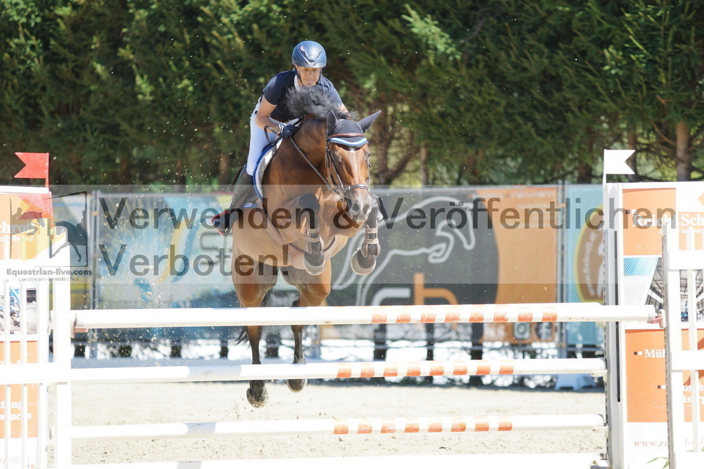 DSC02595 | equestrian-live-com