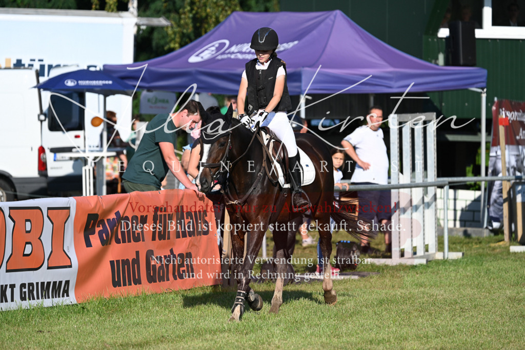 DSC_4673 | Pferde- und Turnierfotografie in Westsachsen. Pferdeportraits, Auftragszeichnungen und intuitive Kunst.