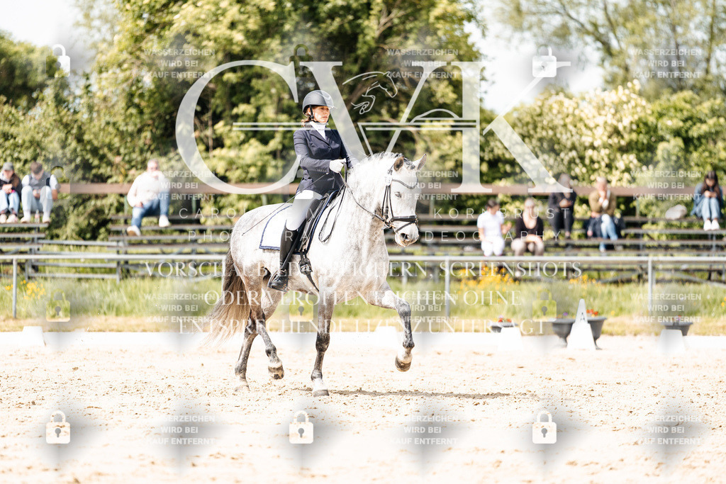 CK901583 | Turnierfotografie Pferdefotografie Trier Rheinland-Pfalz Pferdesport Reitsport Tierfotografie Sportfotografie Pferdevideo Pferdevideografie Equestrianvideography equestrianphotography  - Realisiert mit Pictrs.com