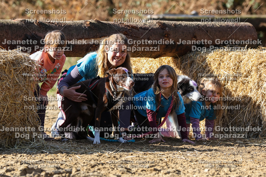 Dog Paparazzi - Strongdog 10-25-2950 | Dog Paparazzi Jeanette Grottendiek Fotografie & Videografie - Realisiert mit Pictrs.com