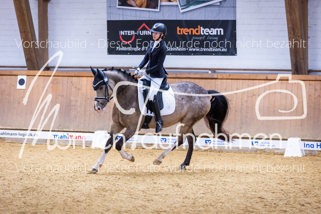 Sth-A-Dre-2St-017 | MomenTaufnahmen Pferdesportfotos