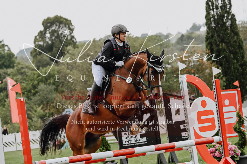 DSC_6913 | Pferde- und Turnierfotografie in Westsachsen. Pferdeportraits, Auftragszeichnungen und intuitive Kunst.
