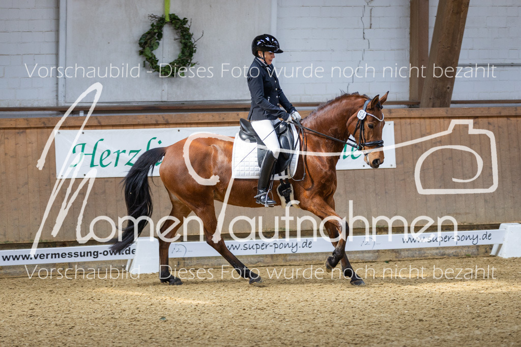 Sth-LPO25-A-Dr-026 | MomenTaufnahmen Pferdesportfotos