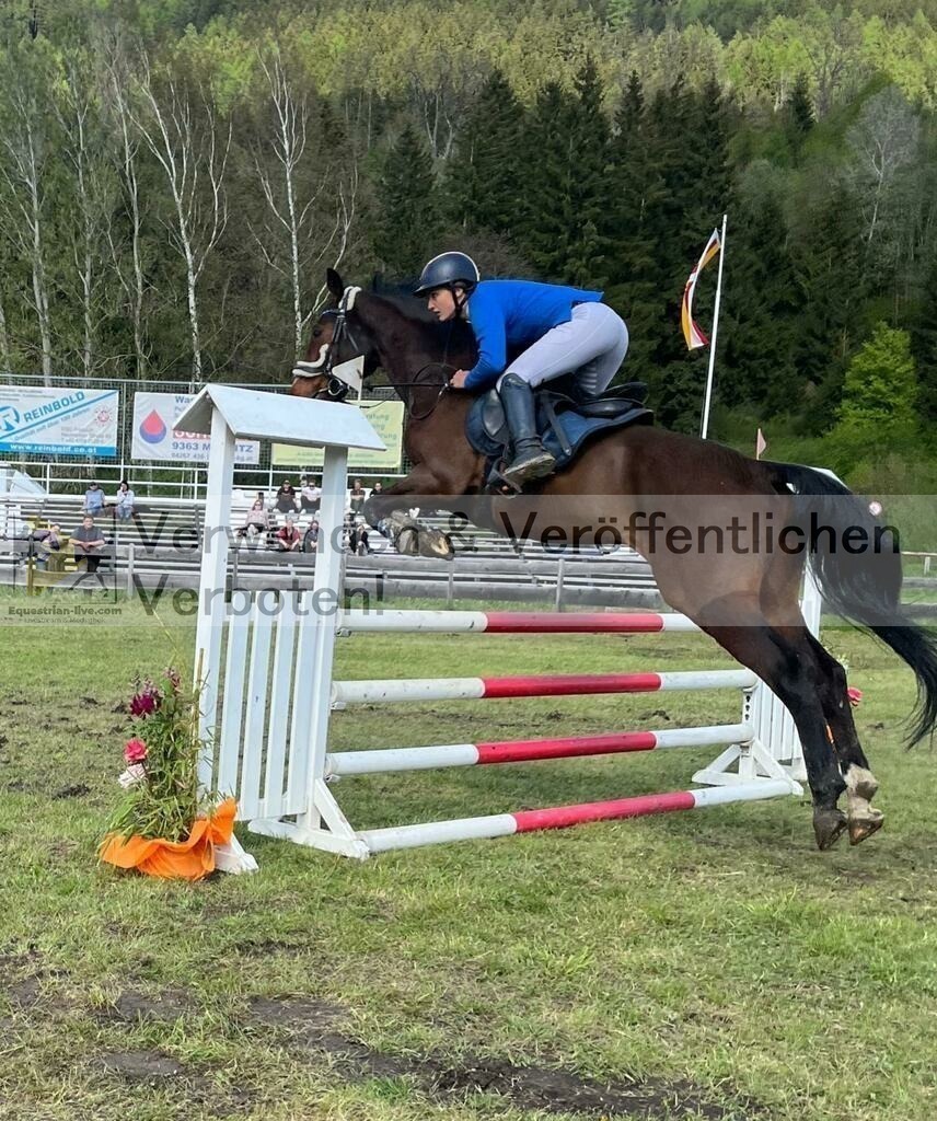 IMG-20230506-WA0021 | equestrian-live-com