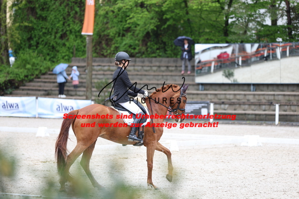 A40A9549 | lmwpictures - Realisiert mit Pictrs.com