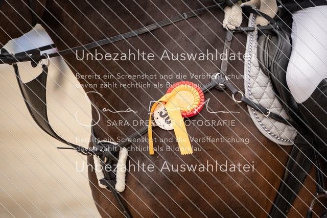 SD_Ennigerloh26_07832 | saradresslerfotografie - Realisiert mit Pictrs.com
