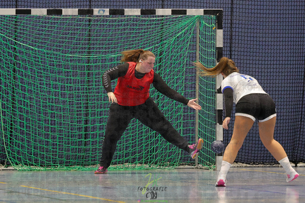 Frauen 2. Bezirksklasse, SG Rechtenbach - HSG Kleenheim/Langgöns III | Frauen 2. Bezirksklasse, SG Rechtenbach - HSG Kleenheim/Langgöns III am 16.11.2024 in Rechtenbach (Sporthalle Rechtenbach)Photo © 2024 - Jörg Heinrich - Realisiert mit Pictrs.com