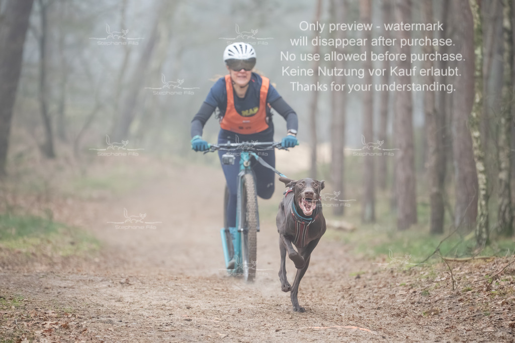 Scooter1-112 | stephaniefillaphotographie - Realisiert mit Pictrs.com