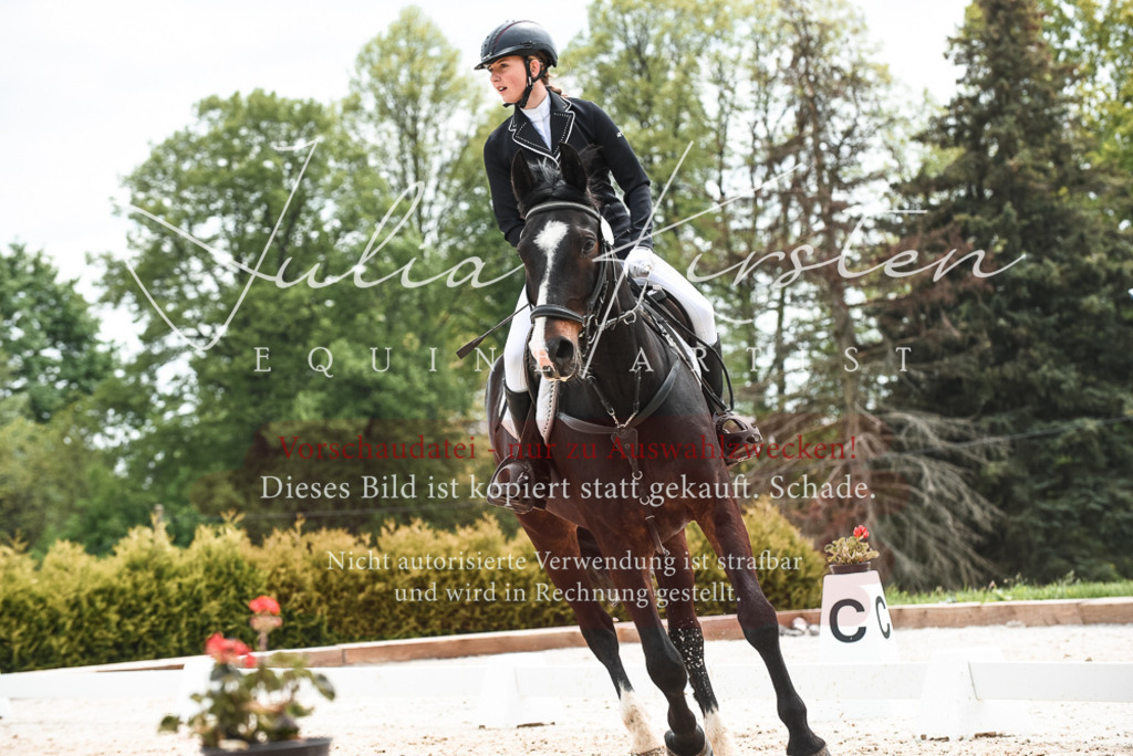 20230518_JK-Röhrsdorf-10-837 | Pferde- und Turnierfotografie in Westsachsen. Pferdeportraits, Auftragszeichnungen und intuitive Kunst.