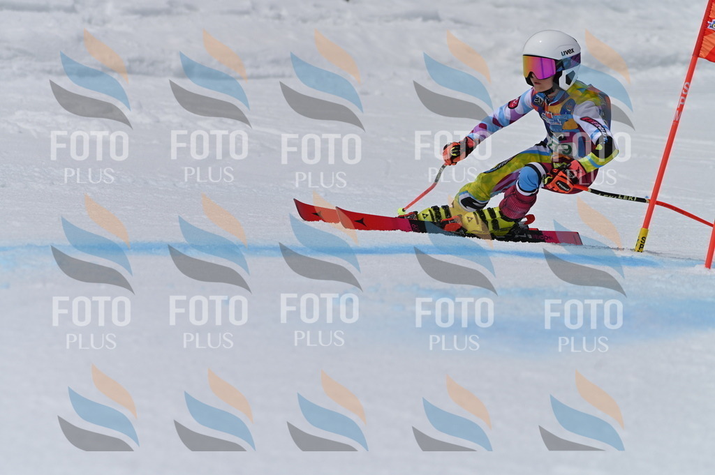 BGV_5555 | holidayphoto