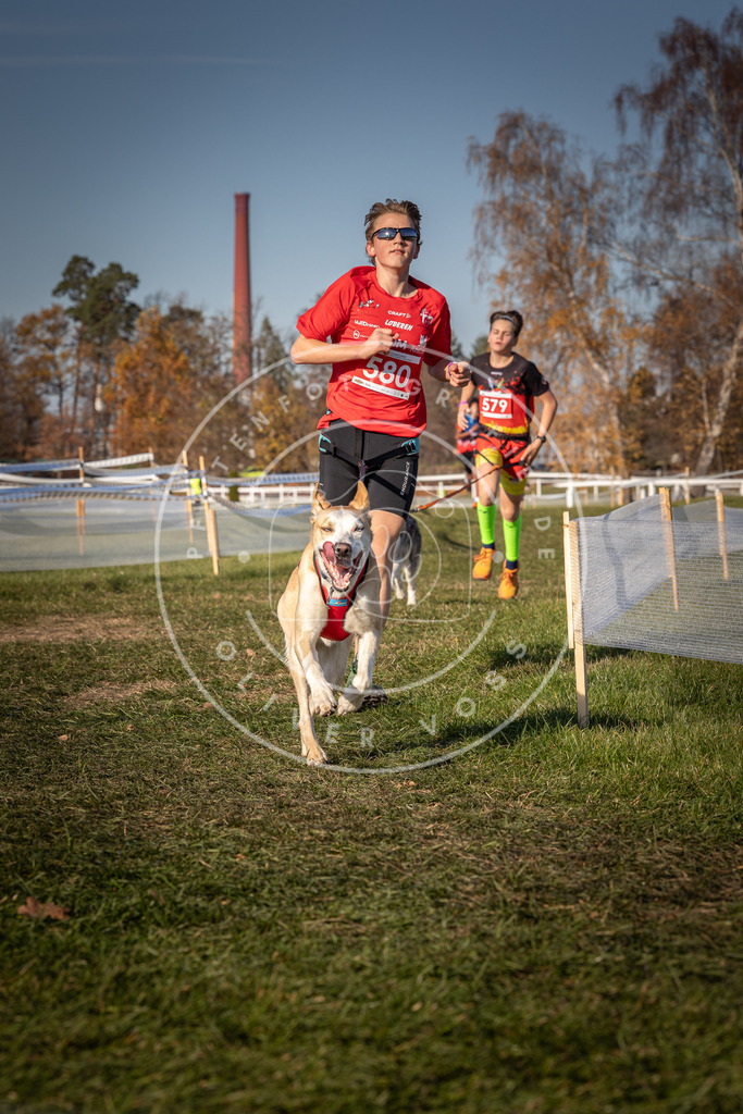 CaniXpix_0L8A8153 | Hundefotografie, Tierfotograf, Pfotenfotografie, Fotoshooting Hund, Hunde Portrait, Hundesport, Hundeportraits, Heideshooting, Hunde, Sportfotograf, Hundefotograf, Turnierhundsport, THS,  - Realisiert mit Pictrs.com