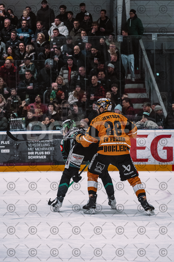 Alligators_vs_Fuessen_06_03_2026_PP-16 | Höchstadt Alligators Fotogalerie: Eishockey-Action aus Franken. Professionelle Spielfotos, Portraits & Stadionbilder zum Download. Jetzt entdecken! - Realisiert mit Pictrs.com