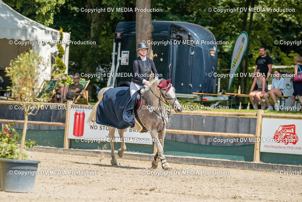 Hessische Tag 3-290 | dv-media-shop - Realisiert mit Pictrs.com