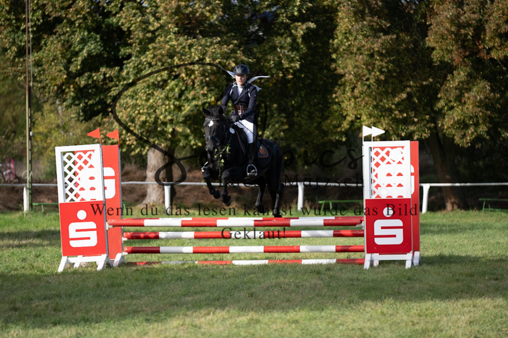 A7V06571 | Pferdefotograf