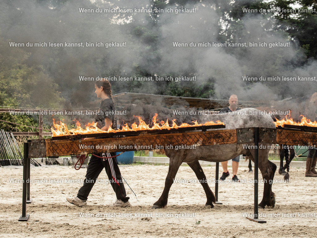 598A6681 | photographylinaismer - Realisiert mit Pictrs.com