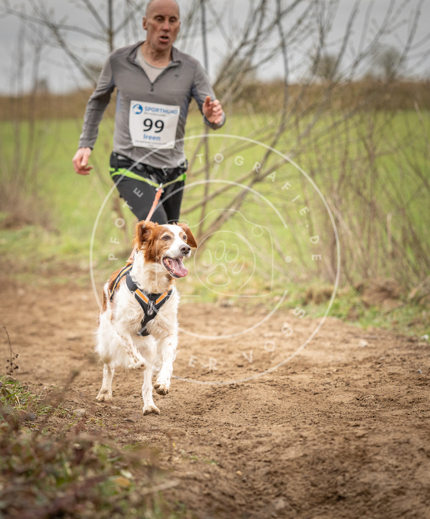 DV3A2536 | Hundefotografie, Tierfotograf, Pfotenfotografie, Fotoshooting Hund, Hunde Portrait, Hundesport, Hundeportraits, Heideshooting, Hunde, Sportfotograf, Hundefotograf, Turnierhundsport, THS,  - Realisiert mit Pictrs.com