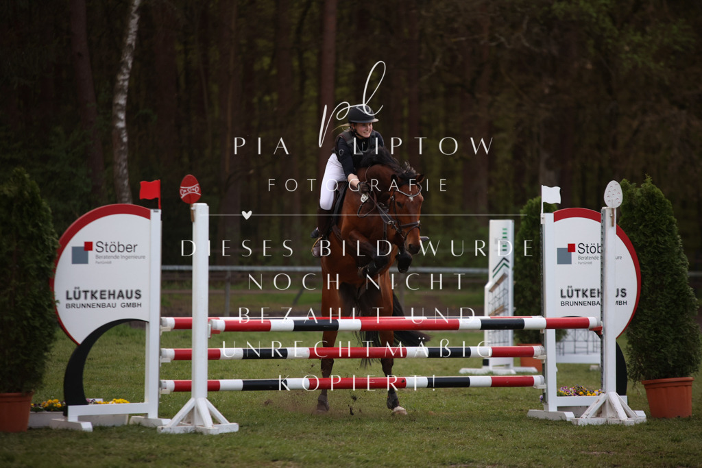 IMGT9495 | pl-fotografie