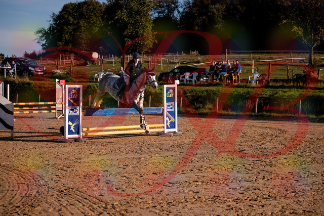 2026_10_03_Siefer-Hof_171433_Z81_12018340 | Professionelle Reitsport-, Turnier- und Eventfotografie von Robert Broda. Galerien mit ausgewählten und bearbeiteten Bildern direkt online ansehen und bestellen.