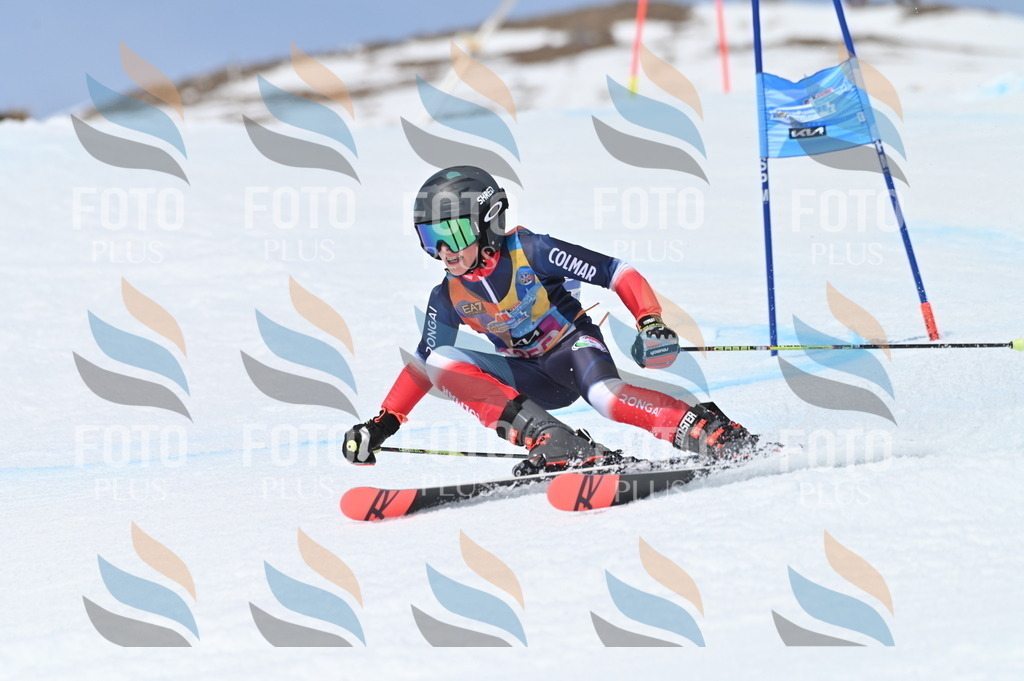 BGV_3748 | holidayphoto