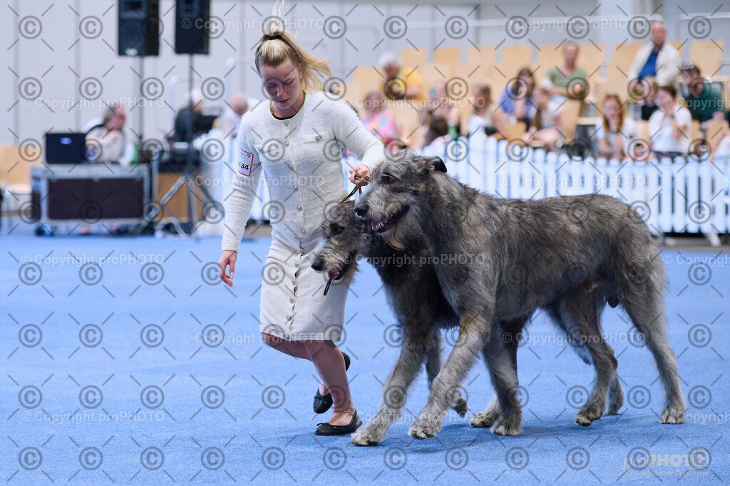 202406_ÖKV-IHA-Tulln24_DSC_3722 | proPHOTO - Realisiert mit Pictrs.com