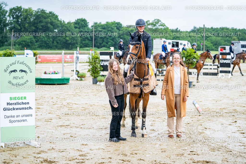 DSC03293 | Pferdegrafie