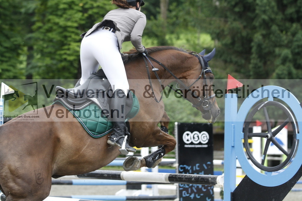_MG_7436 | equestrian-live-com
