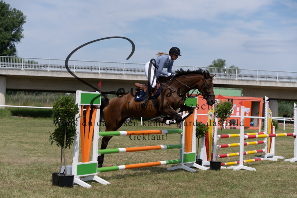 A7V01808 | Pferdefotograf