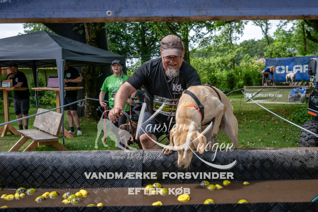 1121_ZZ93735 | kk-dogfotos