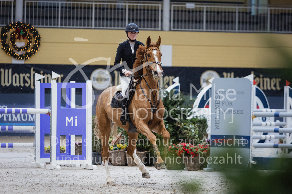221217_Warstein_Stil-M-246 | Deine schönsten Turniermomente als professionelle Fotos! Entdecke hochwertige Pferdesport-Fotografie im Online-Shop. Jetzt Fotos finden & bestellen!