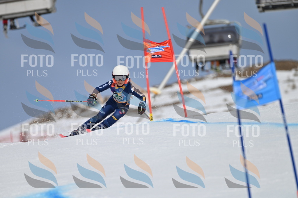 BGV_3558 | holidayphoto