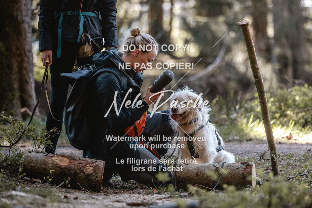 6Z1A0772 | nelerasche
