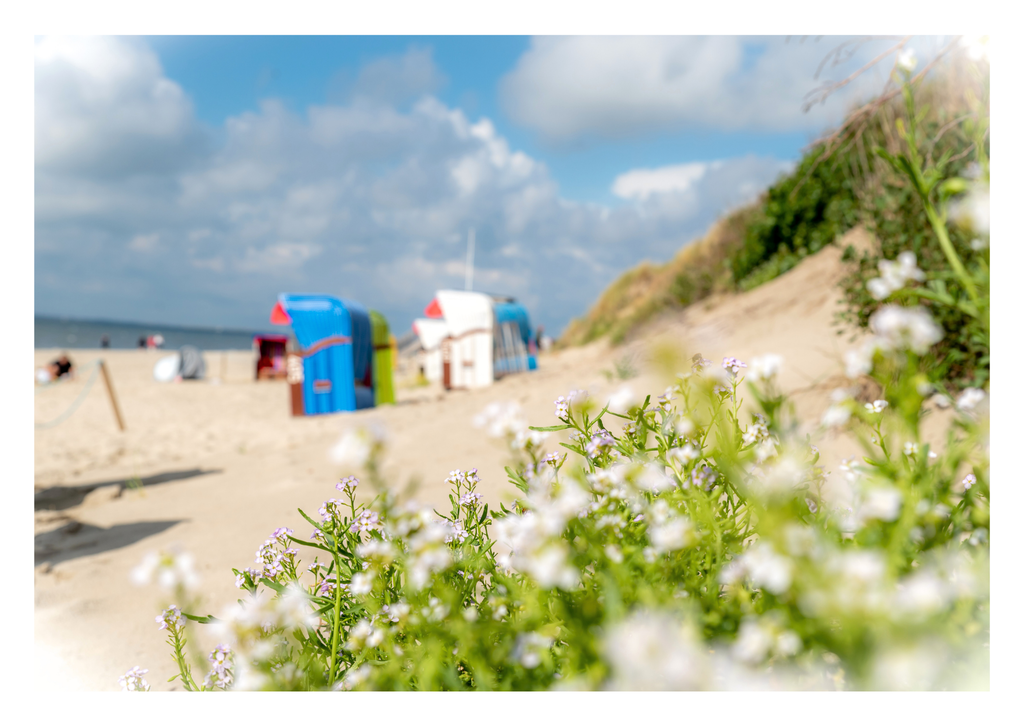 Motiv 46 | Eilun-Art-Fotografie Levke Martens, ihre Fotografin für Immobilien- und Landschaftsfotografie auf Föhr, Föhrer Motive als Poster, Leinwand, hinter Acrylglas oder stelle dir deinen eigenen Monatskalender zusammen, mit nur einem Klick