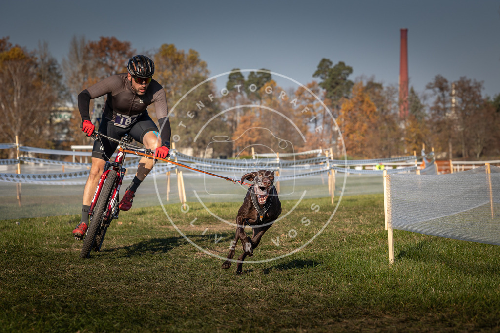 CaniXpix_0L8A6131 | Hundefotografie, Tierfotograf, Pfotenfotografie, Fotoshooting Hund, Hunde Portrait, Hundesport, Hundeportraits, Heideshooting, Hunde, Sportfotograf, Hundefotograf, Turnierhundsport, THS,  - Realisiert mit Pictrs.com