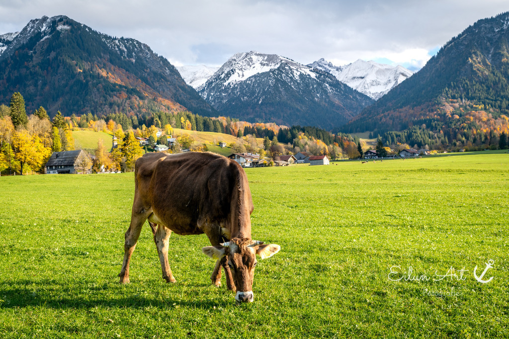 20251024-EAF_6593 | Eilun-Art-Fotografie Levke Martens, ihre Fotografin für Immobilien- und Landschaftsfotografie auf Föhr, Föhrer Motive als Poster, Leinwand, hinter Acrylglas oder stelle dir deinen eigenen Monatskalender zusammen, mit nur einem Klick