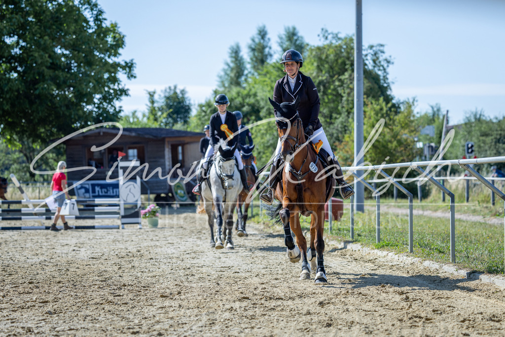 20260704-_3LI7398 | Tierfotografie Pferde, Hunde, Katzen, Haustiere.
Turnierfotografie Reitturniere, Reiten, Springreiten, Dressur in Hanau, dem Main-Kinzig-Kreis und dem Rhein-Main- Gebiet um Frankfurt
