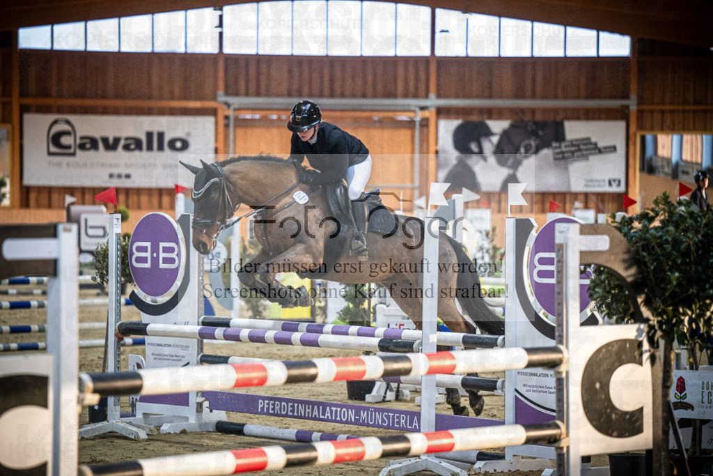 DOS_1180 | Entdecke hochwertige Reitturnierfotos von Foto Oger. Professionell, emotional und authentisch – jetzt Lieblingsmomente im Shop bestellen.Deutschlandweite Turnierfotografie. - Realisiert mit Pictrs.com