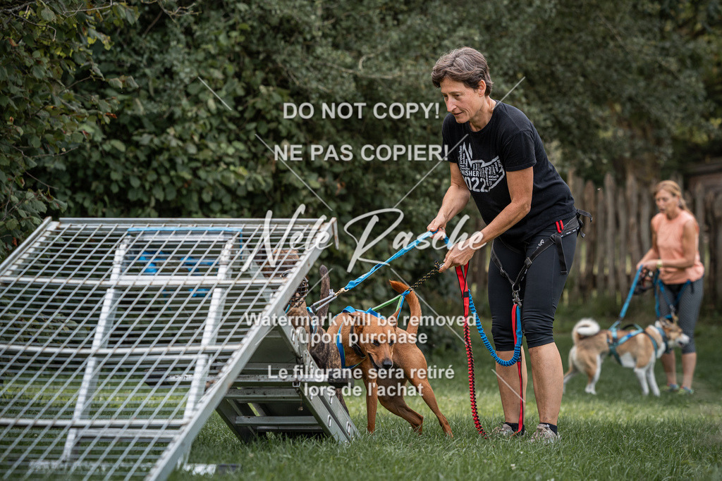 nelerasche_SoLauf_73 | nelerasche