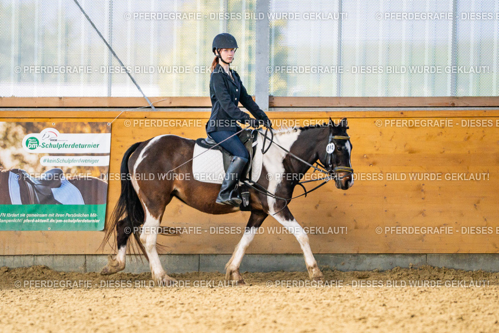 DSC03549 | Pferdegrafie