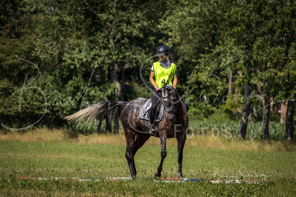 CJP_2026-06-26_122 | Stimmungsvolle Fotografie von Pferden, fotografische Begleitung von Veranstaltungen, Golfturnieren und Distanzritten - Realisiert mit Pictrs.com