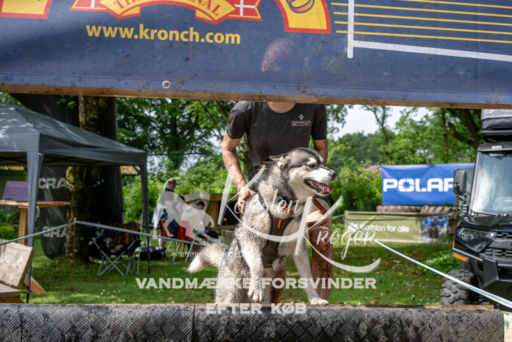 1043_ZZ91813 | kk-dogfotos