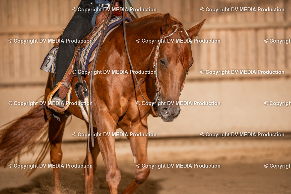 Balingen Tag 1-175 | dv-media-shop - Realisiert mit Pictrs.com