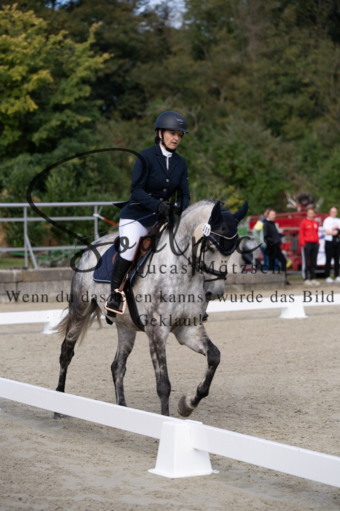 A7V06844 | Turnier/Reitfotograf
