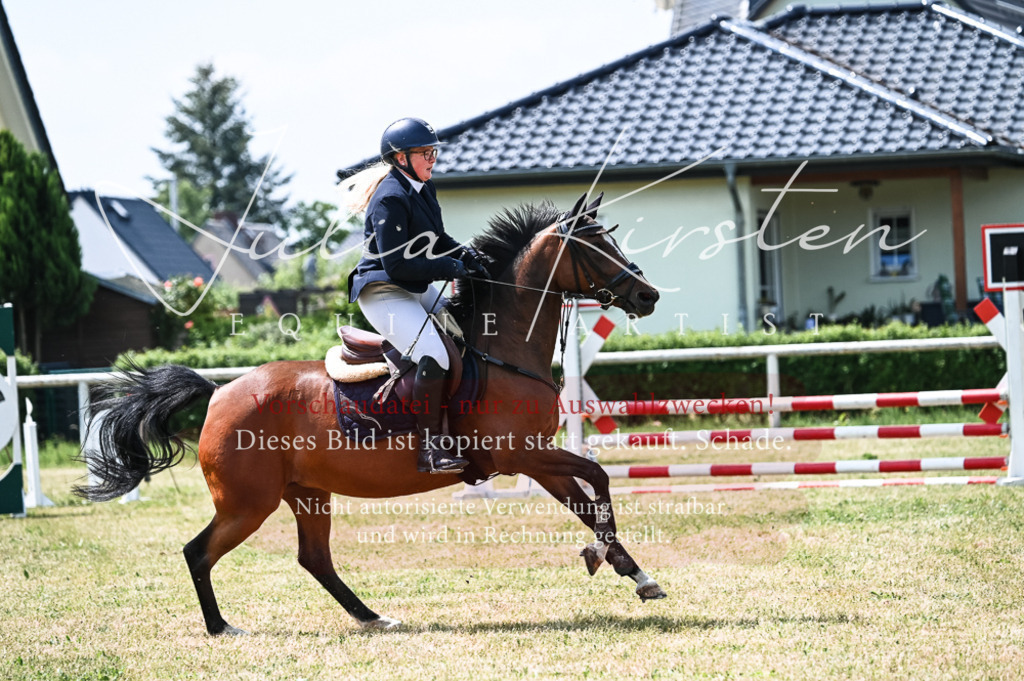 DSC_9297 | Pferde- und Turnierfotografie in Westsachsen. Pferdeportraits, Auftragszeichnungen und intuitive Kunst.