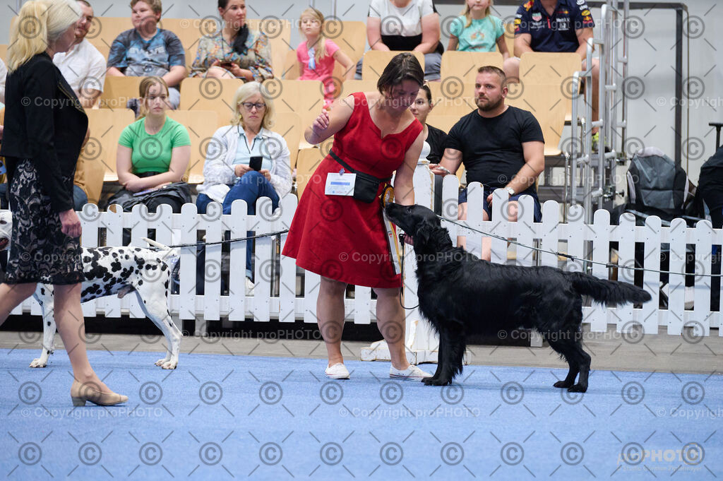 202406_ÖKV-IHA-Tulln24_DSC_4859 | proPHOTO - Realisiert mit Pictrs.com