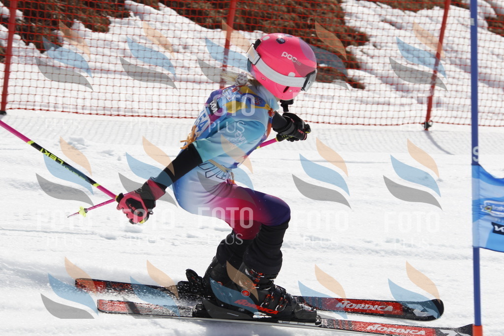 _U3G1311 | holidayphoto