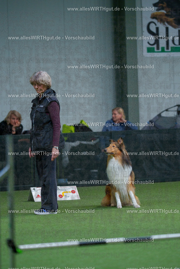 7R502089 | Professionelle Tierfotografie in Mönchengladbach von Daniel Wirth (allesWIRTHgut). Liebevolle & natürliche Bilder von Hunden & Katzen für unvergessliche Erinnerungen.