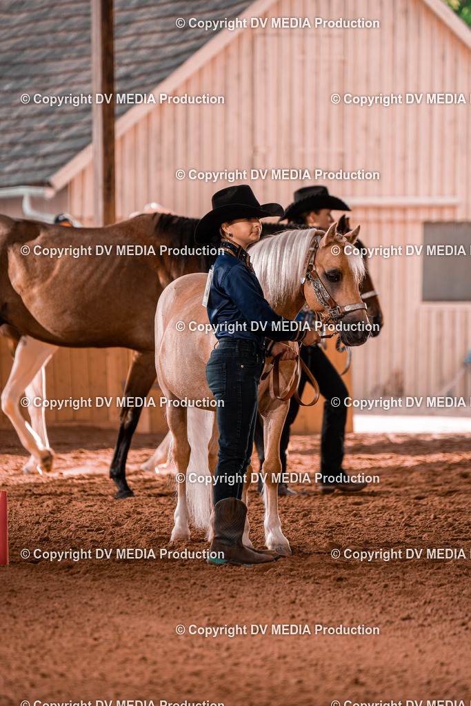 NE201519 | dv-media-shop - Realisiert mit Pictrs.com