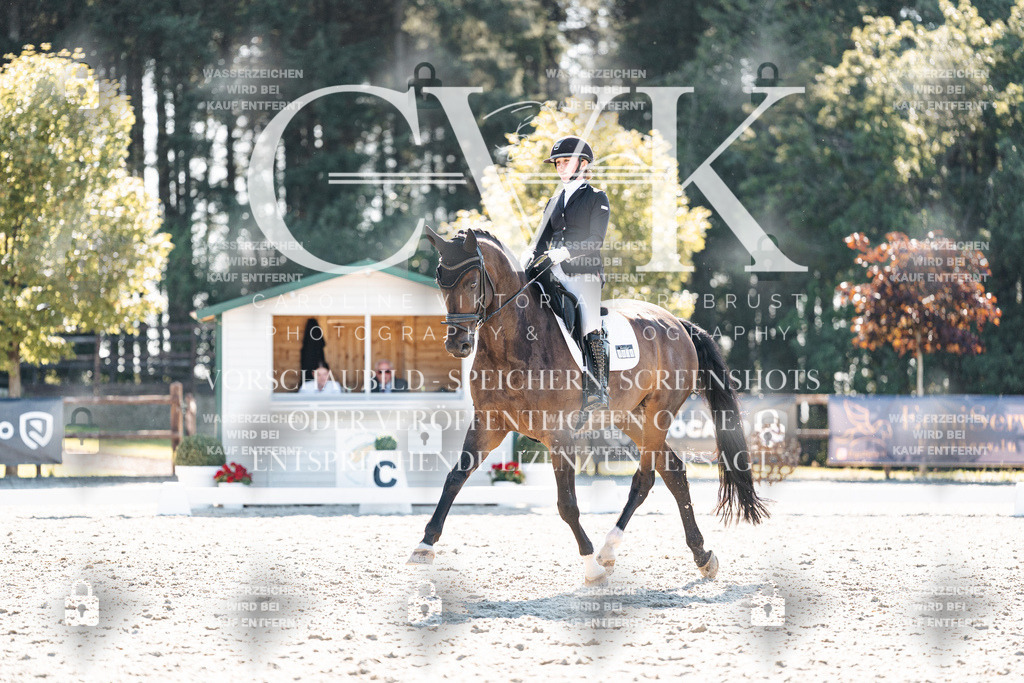 CK905948 | Turnierfotografie Pferdefotografie Trier Rheinland-Pfalz Pferdesport Reitsport Tierfotografie Sportfotografie Pferdevideo Pferdevideografie Equestrianvideography equestrianphotography  - Realisiert mit Pictrs.com