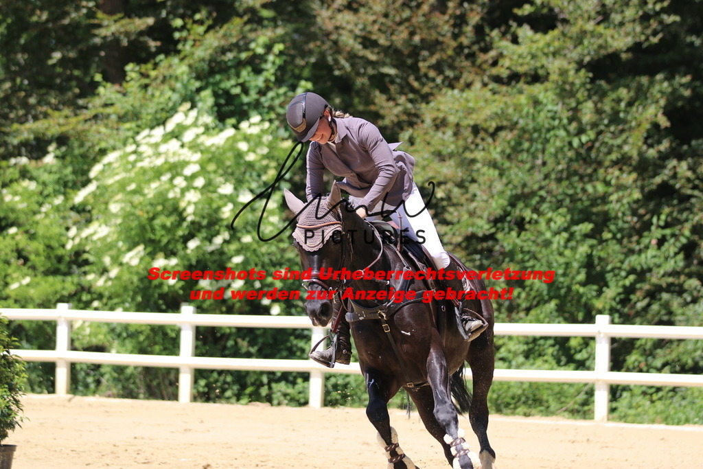 IMG_2371 | lmwpictures - Realisiert mit Pictrs.com